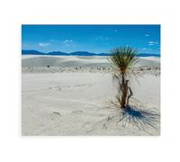 Jigsaw Puzzle 1000 Piece，White Sands National Monument, New Mexico，Crafts Classic Puzzle 3D Puzzle Diy Kit Wooden Toy Unique Gift Home Decor（75x50cm）-BE69