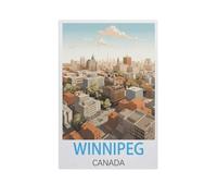 Jigsaw Puzzle 1000 Piece，Winnipeg Canada，Classic Puzzle DIY Kit Wood Toy Unique Gift Home Decor（75x50cm）-FR16