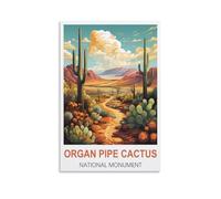 Jigsaw Puzzle 1000 PieceOrgan Pipe Cactus National Monuments，Jigsaw Puzzle 1000 Pieces Adults Family Games For Adults Fun For Kids Decompression Toy 70x50cm