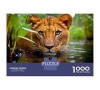 Jigsaw Puzzle 1000 Pieces A Close Up of A Tiger Jigsaws for Adults Brain Teaser Game Improve Memory Deal As Gifts for The Whole Family 52x38cm/1000pcs