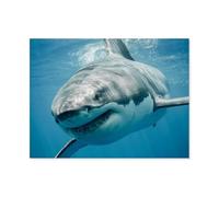 Jigsaw Puzzle 1000 Pieces Adult Puzzle Paper Puzzle Classic 3D Puzzle，Shark，Diy Modern Art Home Decor（38x26cm）-E44