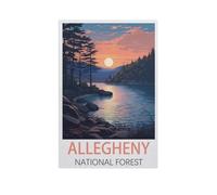 Jigsaw Puzzle 1000 Pieces，Allegheny National Forest，Paper Children Toys Decompression Game（50x70cm）-FS57