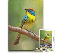 Jigsaw Puzzle 1000 Pieces Beautiful Bird Image Toys Educational Games Analysis And Logic Secret Santa Gifts Size 38x52cm