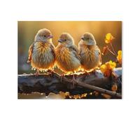 Jigsaw Puzzle 1000 Pieces,Birds, glorious sunshine, isn't it!,Large Family Puzzle Game Artwork for Adults Teens(75x50cm)-AG58