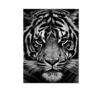Jigsaw Puzzle 1000 Pieces，Black and White Tiger，Large Family Puzzle Game Artwork for Adults Teens（38x26cm）-C15