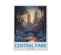 Jigsaw Puzzle 1000 Pieces，Central Park New York，Paper Children Toys Decompression Game（26x38cm）-EI18