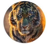 Jigsaw Puzzle 1000 Pieces Colorful Savage Tigers Puzzle 1000 Pieces Jigsaw Ideal for Lover,Perfect Christmas,New Year,Valentine's Gift (67.5x67.5cm)