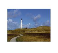 Jigsaw Puzzle 1000 Pieces，Denmark - Area Around Hvide Sande，Paper Children Toys Decompression Game（50x70cm）-AC74