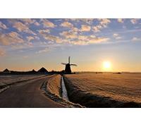 Jigsaw Puzzle 1000 Pieces for Adult Challenging Puzzle Games Natural Scenery,Fields,Winter in Debord 50x70CM