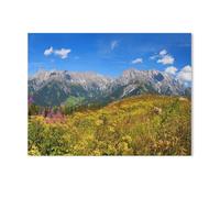 Jigsaw Puzzle 1000 Pieces for Adults，Beautiful flower meadow on the Steinbockalm，Paper Puzzle - Unique Suitable for Teenagers and Adults（50x70cm）-AG64
