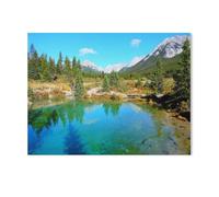 Jigsaw Puzzle 1000 Pieces for Adults,Colourful Splendour of the Ink Pots in Banff National Park,Wood Puzzle - Unique Suitable for Teenagers and Adults(75x50cm)-Y44