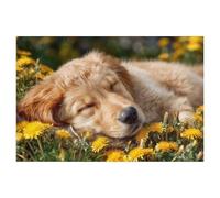 Jigsaw Puzzle 1000 Pieces for Adults，Dreaming Golden Retriever Puppy - Gentle Peace in the Spring Meadow，Unique Suitable for Teenagers and Adults, Home Decoration（38x26cm）-AG93