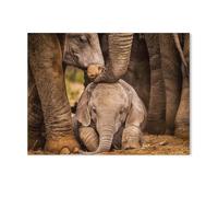 Jigsaw Puzzle 1000 Pieces for Adults，Elephant calf under the protection of the herd，Unique Suitable for Teenagers and Adults, Home Decoration（75x50cm）-K64