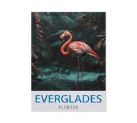 Jigsaw Puzzle 1000 Pieces for Adults，Everglades Florida，Teens Boys Girls Puzzles Difficult Challenging Puzzle for Party Games Kids Family Friends（38x52cm）-ED6