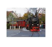 Jigsaw Puzzle 1000 Pieces for Adults，On the Narrow-Gauge Railway to the Harzer Brocken，Kids Teens Large Families Puzzle Game（50x70cm）-AD39
