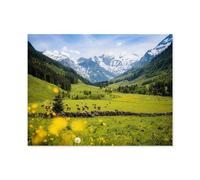 Jigsaw Puzzle 1000 Pieces for Adults，Panoramic view of a rural Alpine landscape with cows, Hohe Tauern National Park，Large Puzzle Game Artwork for Adults Teens（75x50cm）-Q58