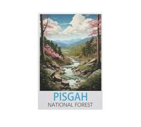 Jigsaw Puzzle 1000 Pieces for Adults，Pisgah National Forest，Kids Teens Large Families Puzzle Game（50x70cm）-FR37