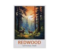 Jigsaw Puzzle 1000 Pieces for Adults，Redwood National Park，Kids Teens Large Families Puzzle Game（75x50cm）-V59