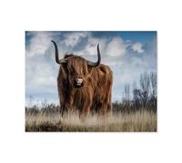 Jigsaw Puzzle 1000 Pieces for Adults，Scottish Highland Cattle，Teens Boys Girls Puzzles Difficult Challenging Puzzle for Party Games Kids Family Friends（50x70cm）-C6