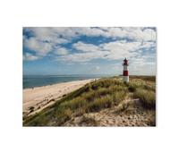 Jigsaw Puzzle 1000 Pieces for Adults，Sylt - Images of an Island，Unique Suitable for Teenagers and Adults, Home Decoration（38x26cm）-AE67