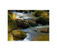 Jigsaw Puzzle 1000 Pieces for Adults，The Little Ohe River Murmurs Gently Along，Teens Boys Girls Puzzles Difficult Challenging Puzzle for Party Games Kids Family Friends（50x70cm）-BA26