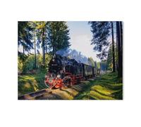 Jigsaw Puzzle 1000 Pieces for Adults，Under Steam in Saxony-Anhalt，Teens Boys Girls Puzzles Difficult Challenging Puzzle for Party Games Kids Family Friends（50x70cm）-AC89