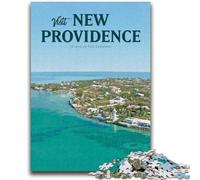 Jigsaw Puzzle 1000 Pieces for Adults Visit New Providence 1000 Pieces for Teenagers,Birthday Present, Gifts, Wall Art for Ages 14+ (26x38cm)