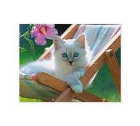 Jigsaw Puzzle 1000 Pieces for Adults，White kitten，Teens Boys Girls Puzzles Difficult Challenging Puzzle for Party Games Kids Family Friends（38x26cm）-B46