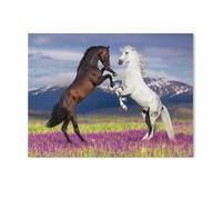 Jigsaw Puzzle 1000 Pieces for Adults，Wild beauty: two dancing horses，Large Puzzle Game Artwork for Adults Teens（38x26cm）-I78