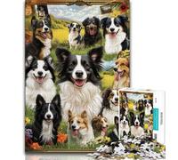Jigsaw Puzzle 1000 Pieces for Teenagers Border Collie Collage Puzzles for Adults,is Ideal As Gifts for The Whole Family Suitable for And 14 (size 75x50cm)