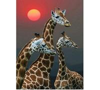 Jigsaw Puzzle 1000 Pieces Four Eagles Under the Banner Brain Challenge Puzzle Sets for Kids, Educational Games for Children, Gift50x70cm