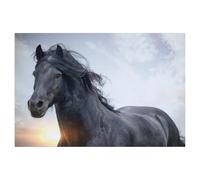 Jigsaw Puzzle 1000 Pieces，Frisians - proud giants，Paper Adult Toys Decompression Game（38x26cm）-AD12