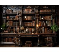Jigsaw Puzzle 1000 Pieces Grand Library Interior with Endless Bookshelves Cozy Reading Nook Ambiance Premium Paper Puzzle for Book Lovers Relaxing Brain Teaser Challenge 27.5 x 19.7 Inches