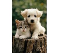 Jigsaw Puzzle 1000 Pieces GREAT GRAY OWL GLOSSY POSTER PICTURE PHOTO PRINT spectral lapland spruce Family Fun Jigsaws Puzzles 1000 Pieces for Adults Gifts Challenging Puzzle Games