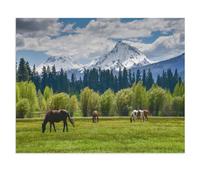 Jigsaw Puzzle 1000 Pieces，Horses in the Cascade Mountain Range, Oregon, USA，Adult Puzzle Kids Puzzle Paper Puzzle Toy DIY Kit Home Decor（38x26cm）-W5