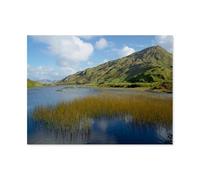 Jigsaw Puzzle 1000 Pieces，Kylemore Lough, Connemara, Co. Galway，Large Family Puzzle Game Artwork for Adults Teens（38x26cm）-AT78
