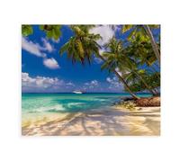 Jigsaw Puzzle 1000 Pieces ，Maldives - A Dreamy Paradise in the Indian Ocean，Difficult Family Puzzle Educational Games Home Decoration, Challenging Puzzles for Adults Men & Women Gift（75x50cm）-BD44