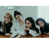 Jigsaw Puzzle 1000 Pieces Poster of a Female Singing Group Black and Pink Wood Colorful Skill Game for the Whole Family Adults VW125QP 38x52CM