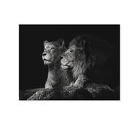 Jigsaw Puzzle 1000 Pieces Puzzles for Adults，A pair of lions, black and white，Jigsaw Puzzles for Challenging Family Activity Games Colorful DIY Craft Puzzle for Home Decor Gifts（75x50cm）-P17
