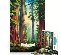 Jigsaw Puzzle 1000 Pieces Redwood National Park Illustration Accurate Joint Fun Mind Exercise Toy Peace Time Play Christmas Art Piece (38x52cm)