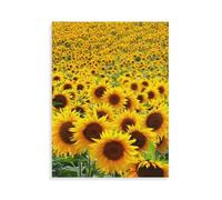 jigsaw puzzle 1000 pieces，Sunflower field，for age 14 years and over Puzzle game Offered as gifts for the whole family（75x50cm）-AQ76