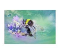 Jigsaw Puzzle 1000 Pieces，The Little Bumblebee Searching for Nectar，Large Family Puzzle Game Artwork for Adults Teens（38x26cm）-AC64