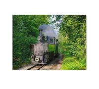 Jigsaw Puzzle 1000 Pieces，The steam locomotive of the Steyrtalbahn，Large Family Puzzle Game Artwork for Adults Teens（38x26cm）-AG98