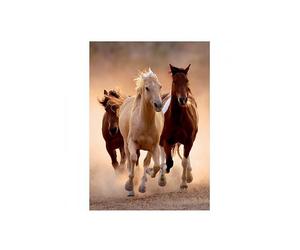 Jigsaw Puzzle - 1000 Pieces - Wild Horses Galloping