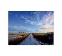 Jigsaw Puzzle 1000 Pieces，Winter fields in Butjadingen，wooden Children Toys Decompression Game（75x50cm）-AR10