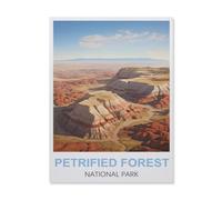 Jigsaw Puzzle 1500 Pieces for Adults，Petrified Forest National Park，Unique Suitable for Teenagers and Adults, Home Decoration（57x87cm）-EQ44