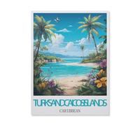 Jigsaw Puzzle 1500 Pieces for Adults，Turks and Caicos Islands Caribbean，Wood Puzzle - Unique Suitable for Teenagers and Adults（57x87cm）-FI41