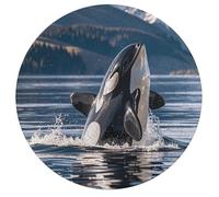 Jigsaw Puzzle 195 Pcs Challenging Round Animals Puzzle Orca Killer Whale Wooden Jigsaw Puzzles for Adults Families