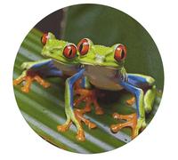 Jigsaw Puzzle 195 Pcs Challenging Round Animals Puzzle Red Eyed Tree Frog Wooden Jigsaw Puzzles for Adults Families