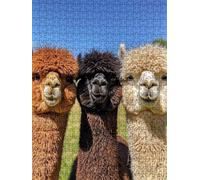 Jigsaw Puzzle 2000 Piece, Alpaca Animals Puzzles for Adults 2000, Wooden Puzzles, Jigsaw Puzzle Games Classic Educational, The Impossible Challenge, Games Family, Creativity Gift DX0YL1-1006